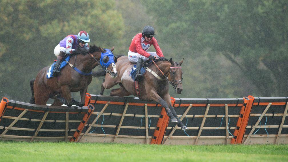 The Statesman (right) jumps the fourth last flight on his hurdling debut at Ludlow