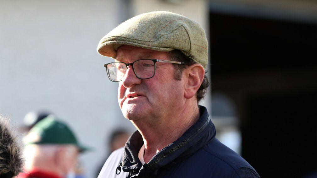 Aiden Murphy: 'For that extra spend you get three times the horse'