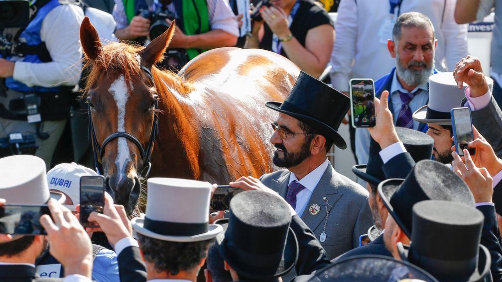 Sheikh Mohammed with his Derby winner Masar, one of many big winners in 2018