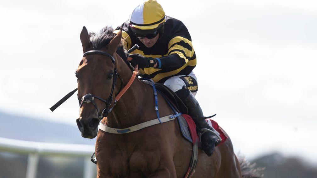 Macgiloney continues his busy spell at Killarney on Tuesday