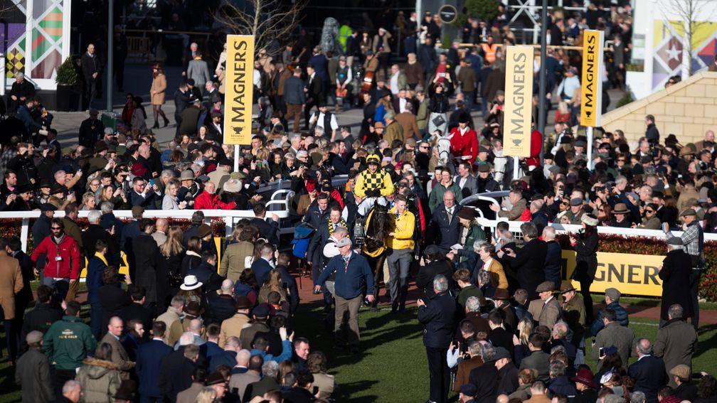 Cheltenham attracted 250,000 people over the four days of the festival