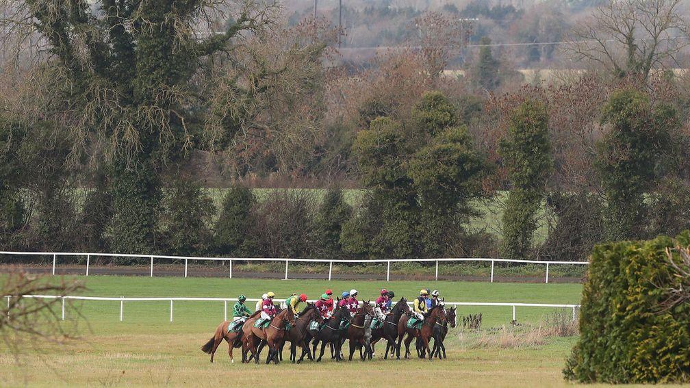 Navan: stages some top-notch racing on Sunday