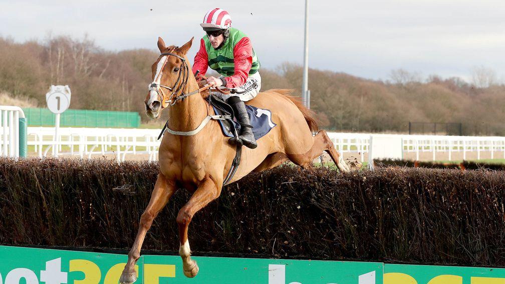 Forest Bihan: into 25s for the Arkle after his Lightning Novices' Chase win