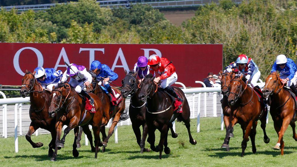 Sir Dancealot (Gerald Mosse, second right) still has work to do in last Tuesday's Qatar Lennox Stakes