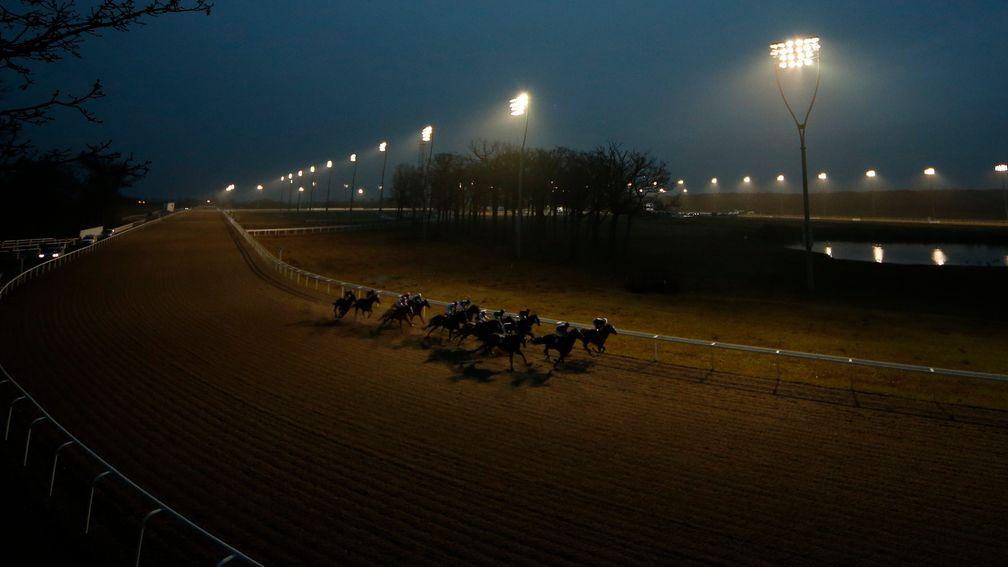 Racing took place under the lights at Chelmsford on Thursday