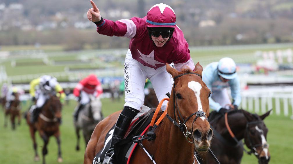 Samcro: connections are yet to decide whether the Ballymore Novices' Hurdle winner will go chasing this winter