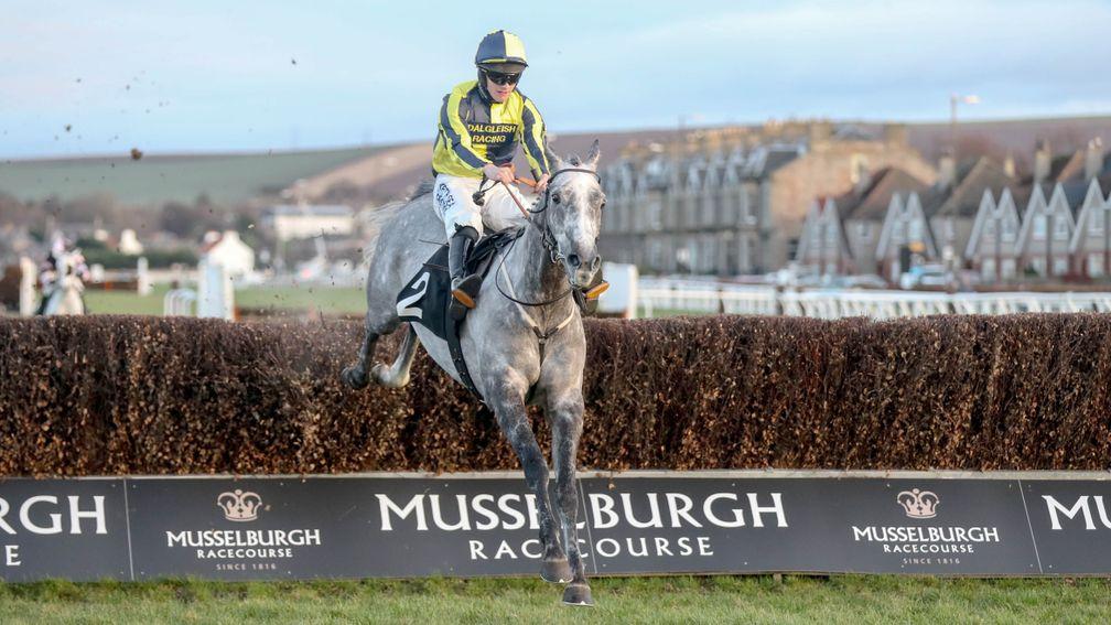 Mixboy won three times over fences last season and is expected to make a winning return