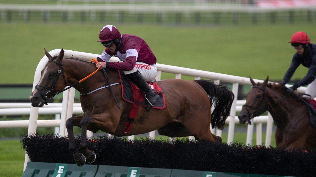The Very Man: a Listed winner at Galway