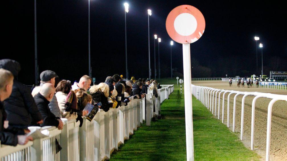 Racegoers watch the action on the track