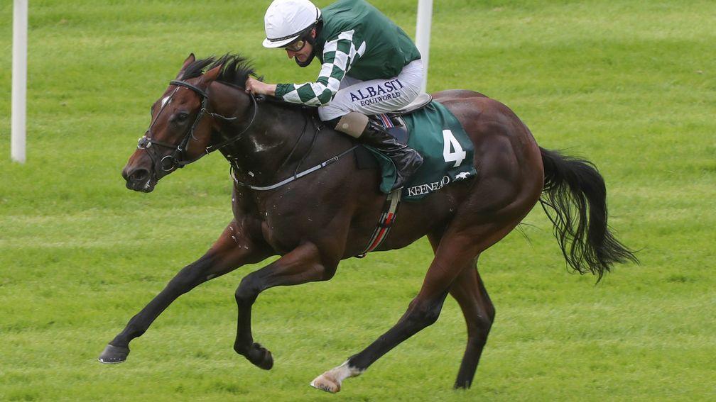 Lucky Vega: represents value at 20-1 for next year's 2,000 Guineas