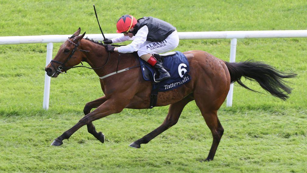 Homeless Songs is now the top-rated Irish three-year-old after Sunday's Irish 1,000 Guineas success
