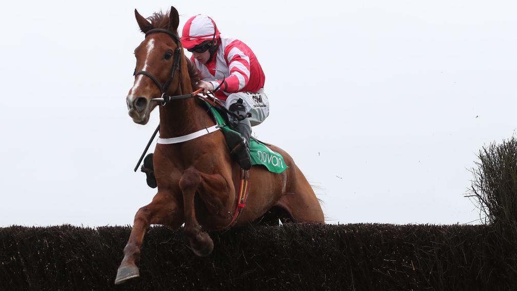 Acapella Bourgeois ran his rivals ragged in the 2017 Ten Up Novice Chase at Navan