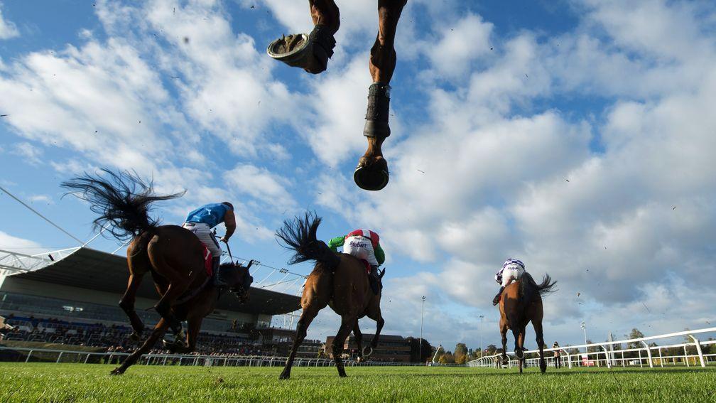 Kempton: two matches and a three-runner race on Monday's card