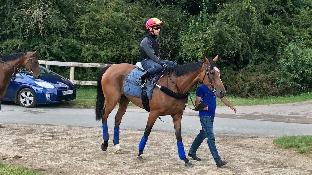 Enable and Frankie Dettori head to the Al Bahathri on Wednesday morning