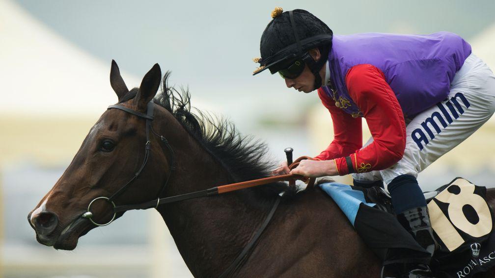 Estimate: twice a Royal Ascot winner for the Queen