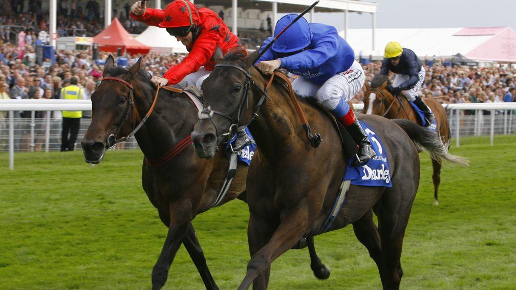 Vita Nova (left), the best runner from the 2008 Book 1 bunch, finishes runner-up to Blue Bunting in the Yorkshire Oaks