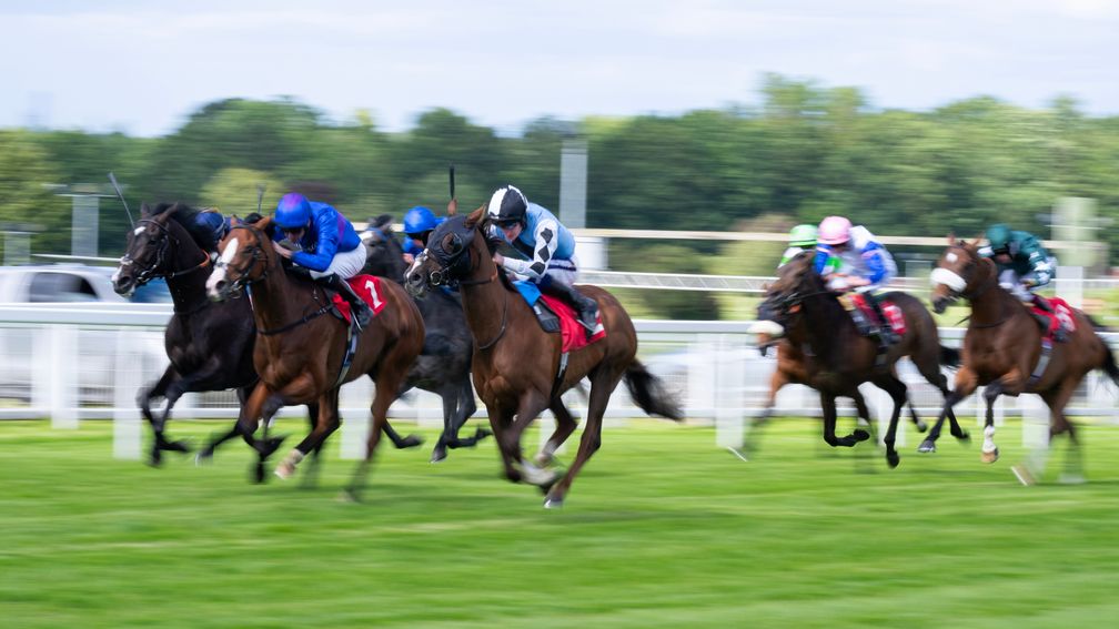 Travolta (nearside, with hood) looks to build on his win at Sandown last month