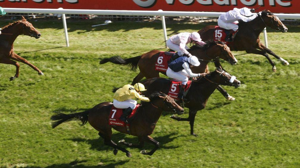Dragon Dancer (5) goes down by a short-head to Sir Percy (15) in the 2006 Derby