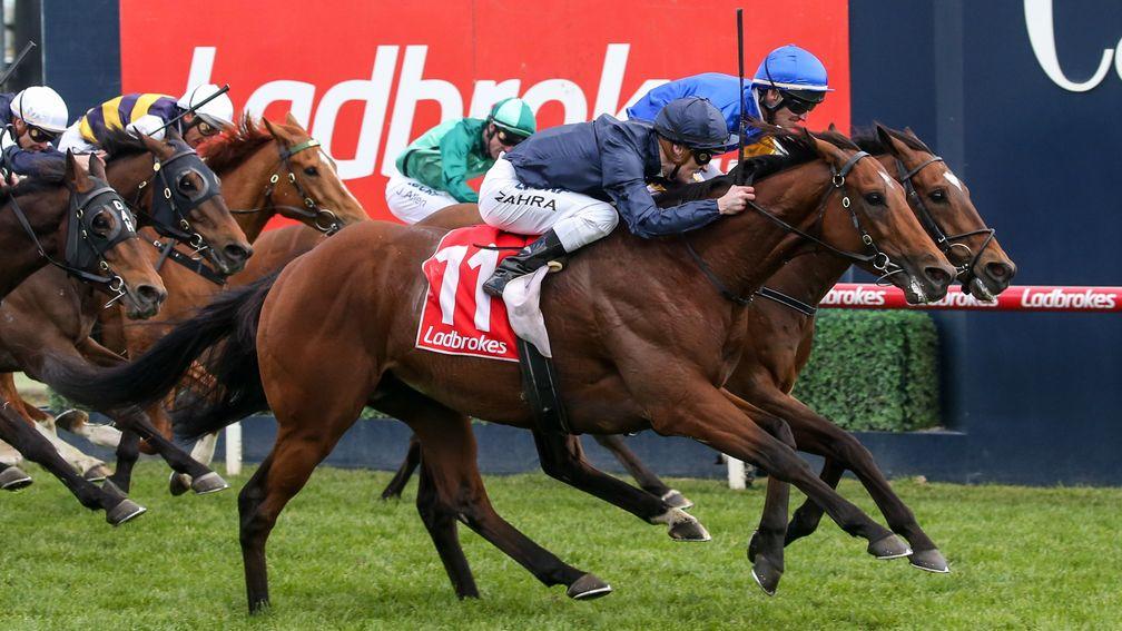 Cape Of Good Hope (near): landed the Ladbrokes Stakes at Caulfield on Saturday