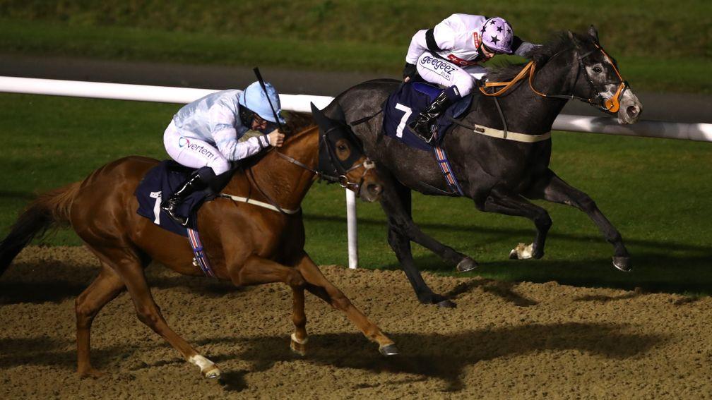 WOLVERHAMPTON, ENGLAND - NOVEMBER 02: On The Right Track ridden by David Probert (R) wins the Read Andrew Balding On Betway Insider Handicap at Wolverhampton Racecourse on November 2, 2020 in Wolverhampton, England. (Photo by Tim Goode - Pool/Getty Images