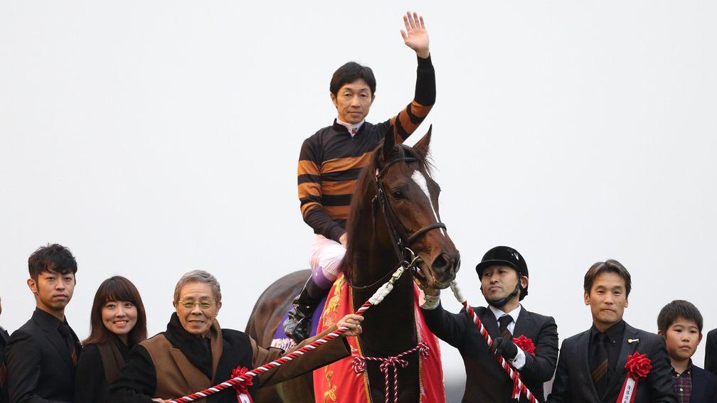 Kitasan Black: red-hot stallion will have representation at the auction