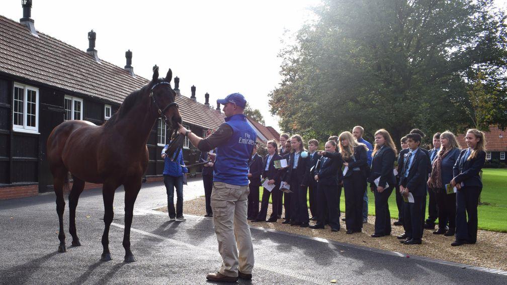 Students from Newmarket Academy are introduced to Farhh at Darley's Dalham Hall Stud