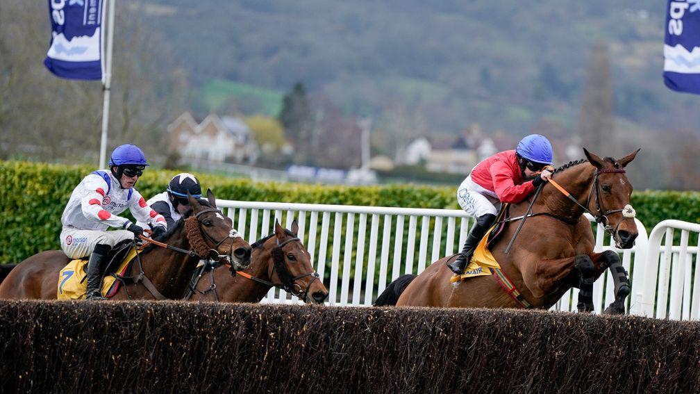 Envoi Allen, seen here winning last year's Ryanair Chase at the Cheltenham Festival under Rachael Blackmore, made his debut in the opening 4yo maiden at Ballinaboola in 2018