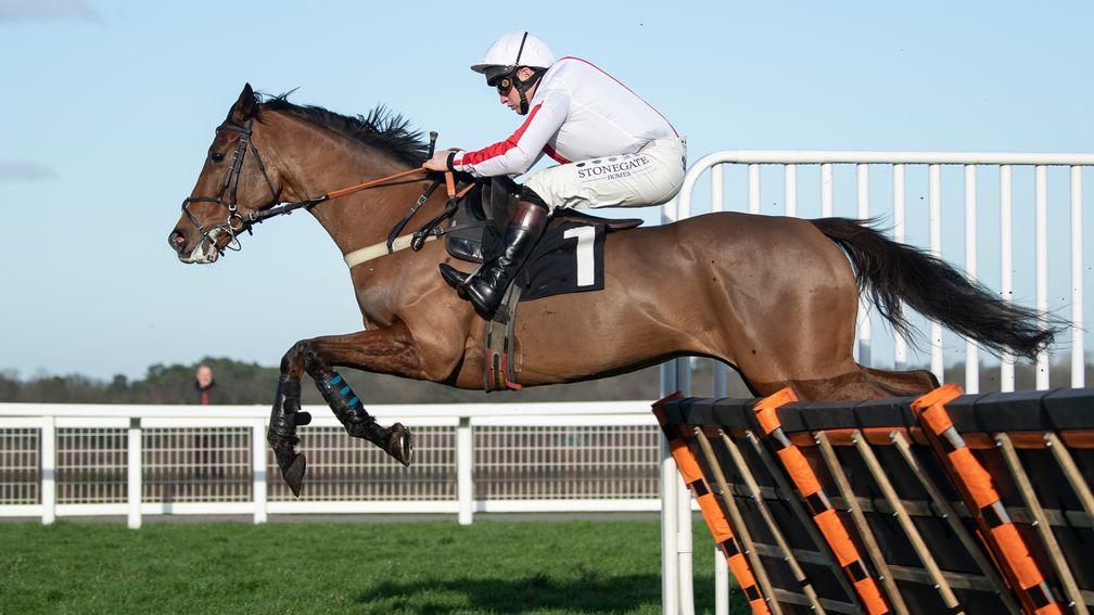Goshen: has the Kingwell Hurdle as an option en route to the Champion Hurdle