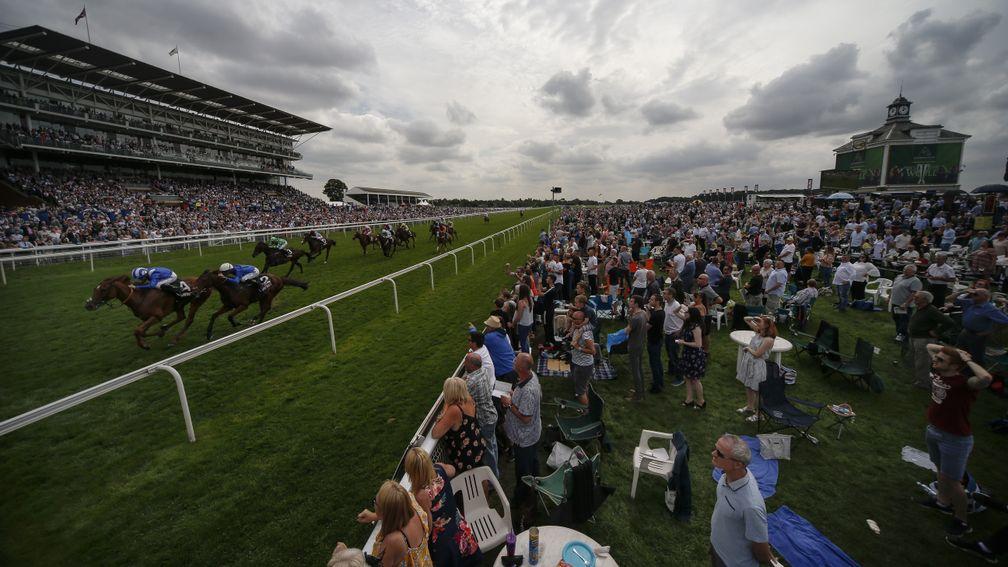 York racecourse: hosting the four-day Ebor meeting this week