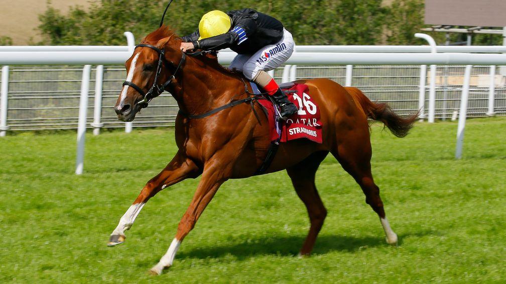 Stradivarius: finished third in a hot St Leger last year