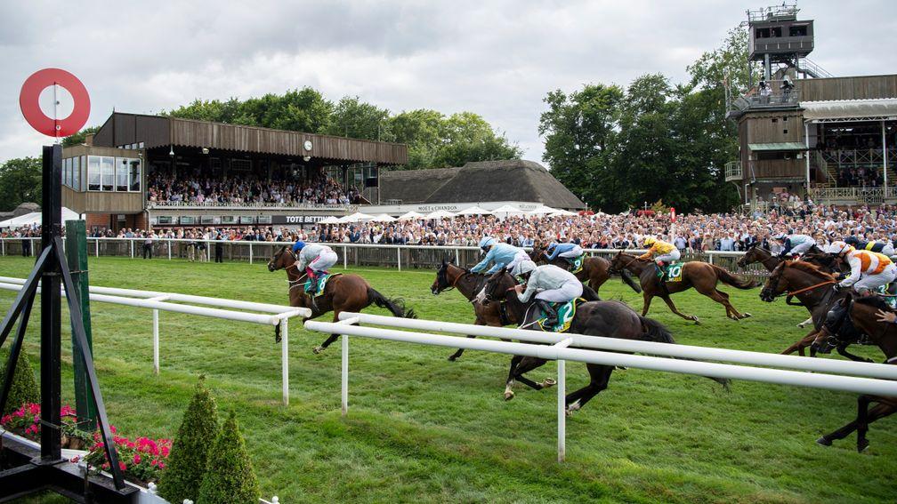 Newmarket: July course is one of two tracks in the Suffolk town