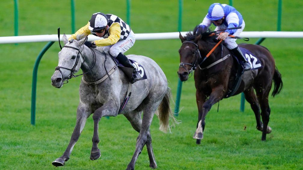 Great White Shark: on her way to winning the Cesarewitch last season