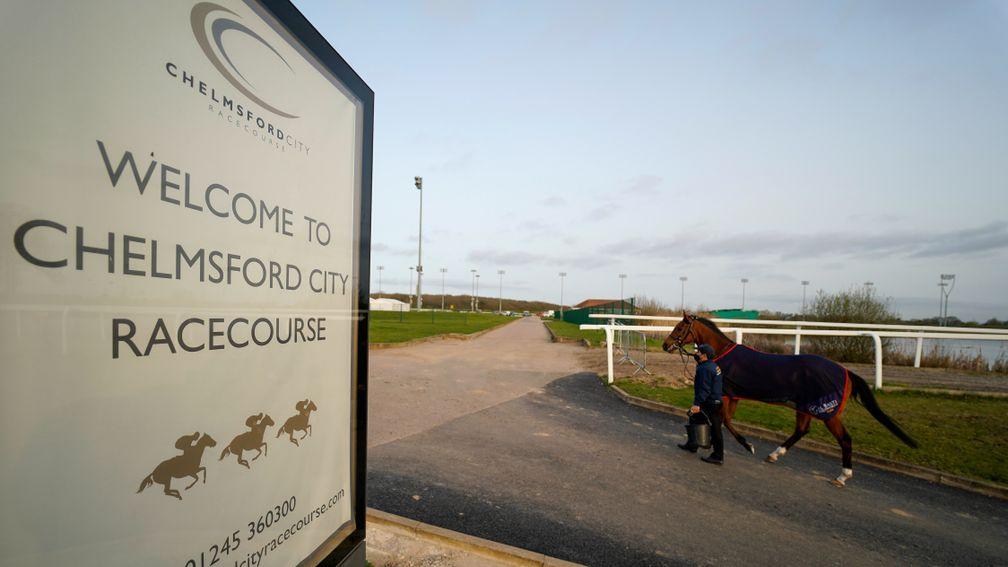 Chelmsford City : hosted Baaeed gallop