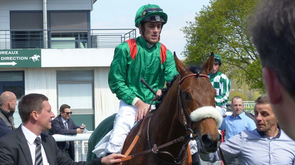 Zarak: looks to have a fantastic chance in the Prix D'Ispahan