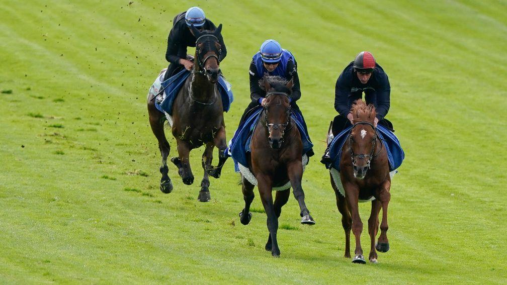 EPSOM, ENGLAND - MAY 23: Adam Kirby riding Nahanni (R), Patrick Hills riding Walk Of Stars (C) and Michael Metcalfe riding Manobo (L) have a racecourse gallop at Epsom Racecourse on May 23, 2022 in Epsom, England. (Photo by Alan Crowhurst/Getty Images)