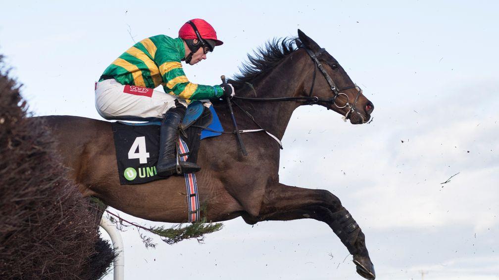 Edwulf and Derek O'Connor eye a surprise victory in the Irish Gold Cup