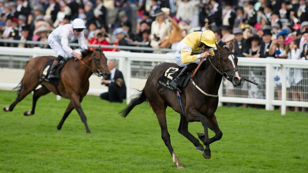 Quiet Reflection winning the Commonwealth Cup at Royal Ascot, with Kachy out of shot hugging the stands' side rail