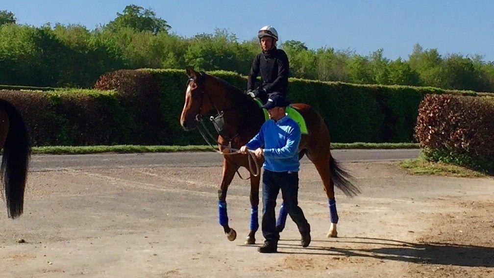 Enable exercising in Newmarket on Friday before she met with a setback