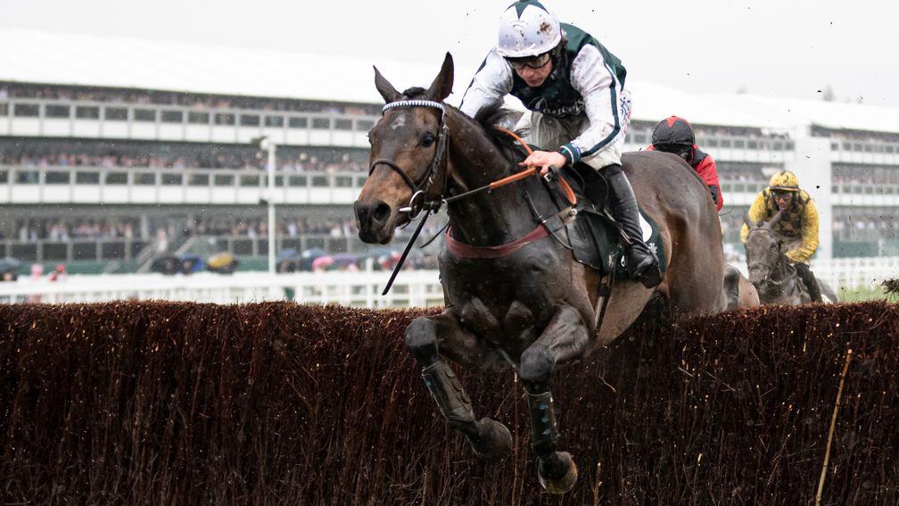 LâHomme Presse and Charlie Deutsch jumping the last when winning the Brown Advisory Novice Chase.Cheltenham Festival day 2.Photo: Patrick McCann/Racing Post16.03.2022