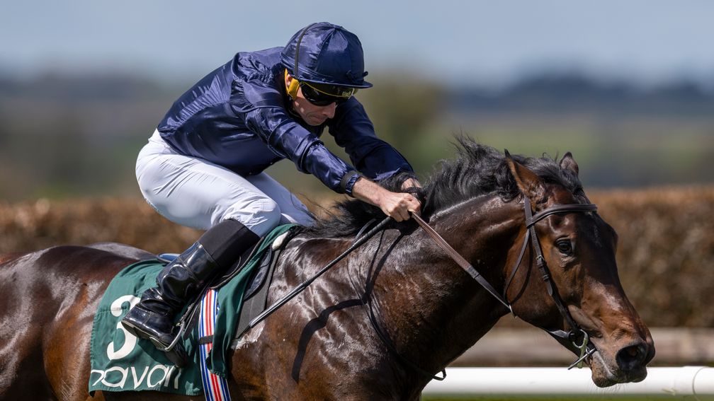 Charles Darwin: a tidy winner at Navan