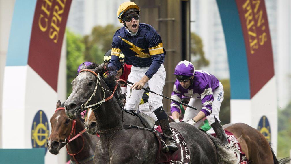 Chautauqua: needs another successful trial to return to racing