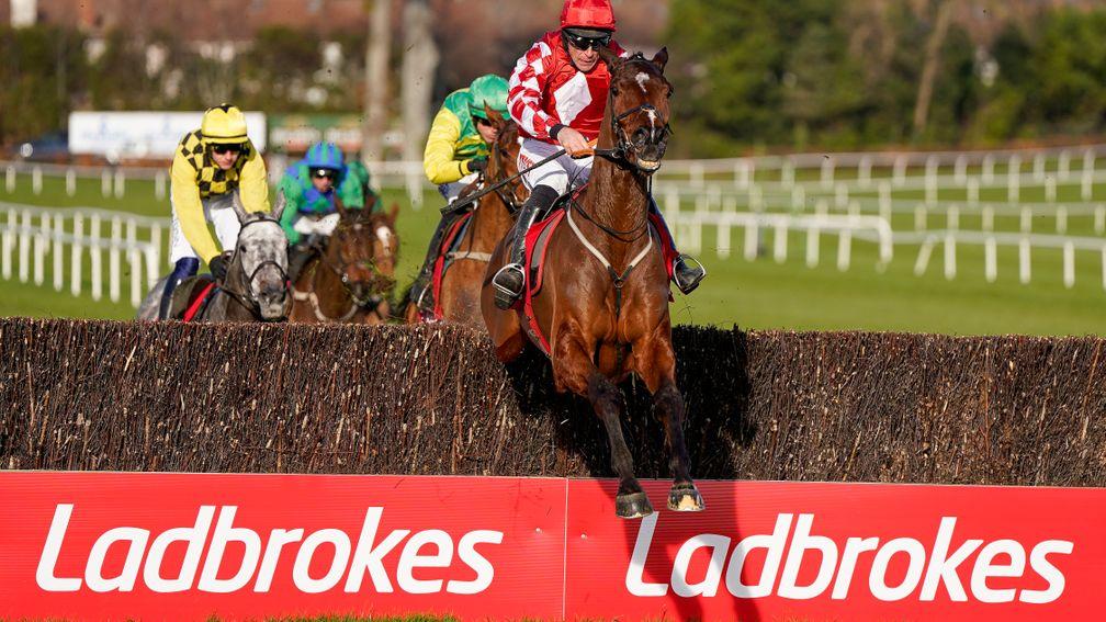 Mighty Potter jumps the last under Davy Russell on his way to victory in the Grade 1 Ladbrokes Novices Chase at Leopardstown