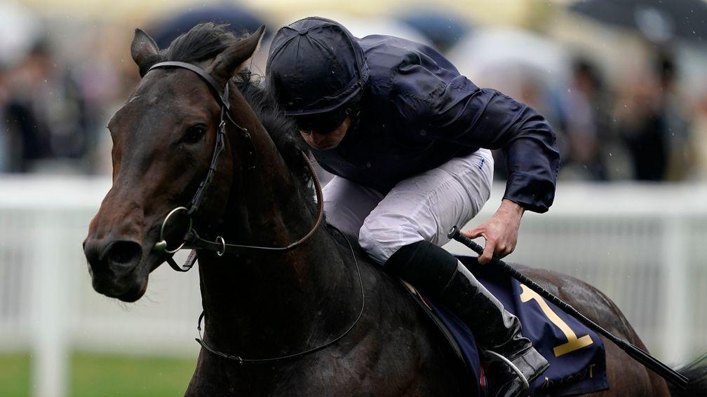 Arizona: the Coventry Stakes winner is among Ballydoyle's 2000 Guineas contenders