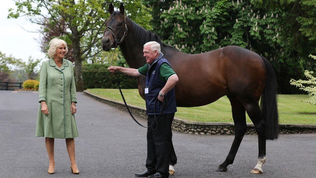 The Duchess Of Cornwall meets the Irish National Stud's flagship stallion Invincible Spirit and his handler Daffer Kelly