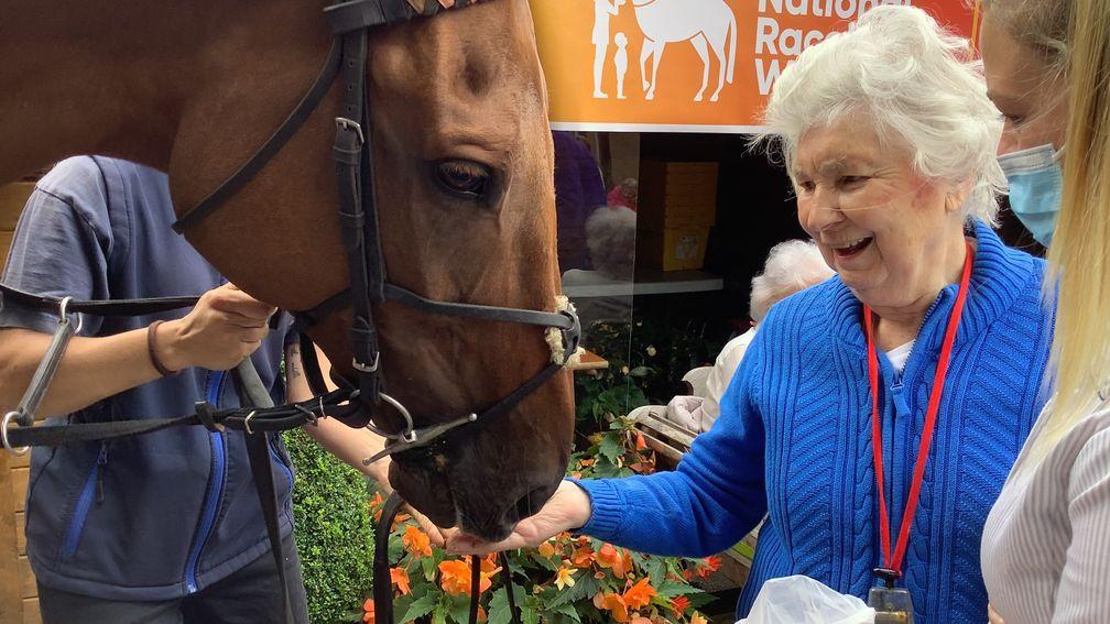 A care home resident enjoys the chance to get close up and personal with staying chaser Sigurd