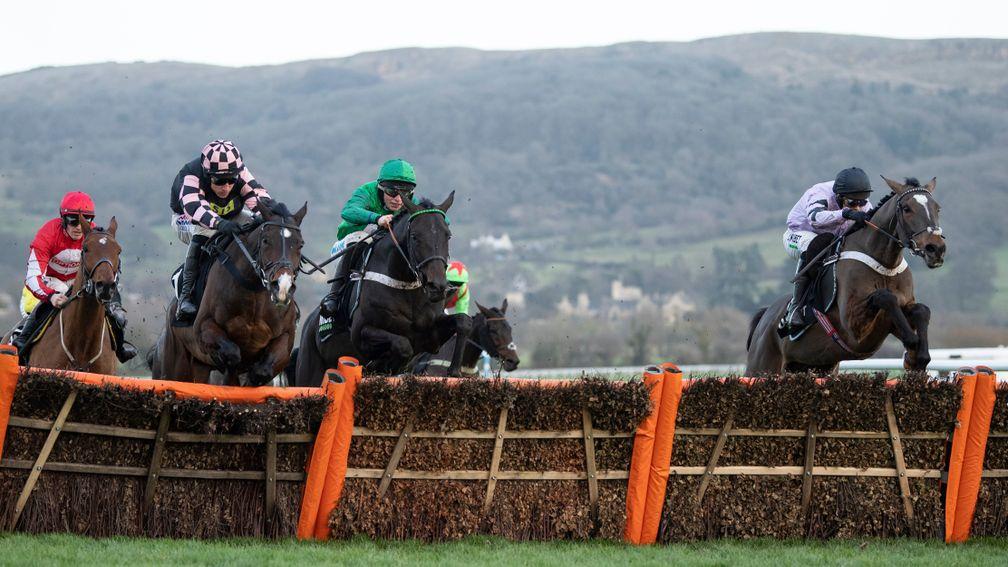 Nicky Henderson stablemates Call Me Lord (green) and Pentland Hills (right) jump the last upsides in the Unibet International Hurdle at Cheltenham