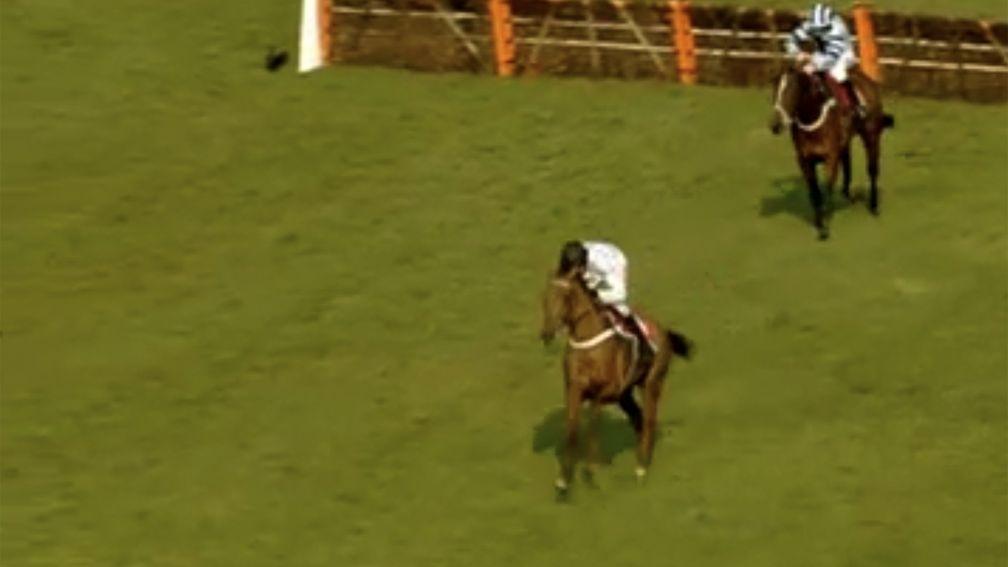 What's The Scoop (Barry Geraghty) is clear and seemingly cruising to victory at Sandown