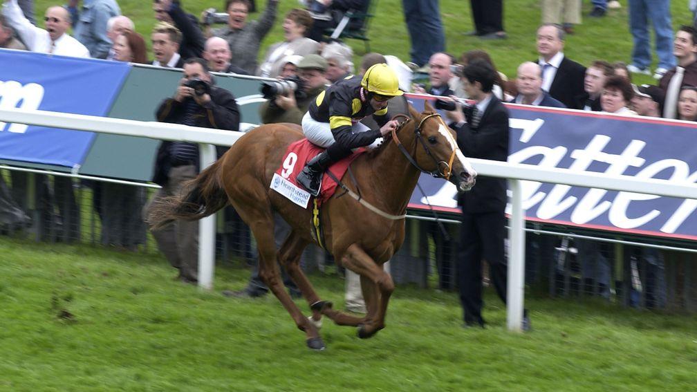 Monsieur Bond with Fergal Lynch wins the 3:00 Duke of York Stakes (Class A) (Group 2) at York 11th May 2004 Mirrorpix