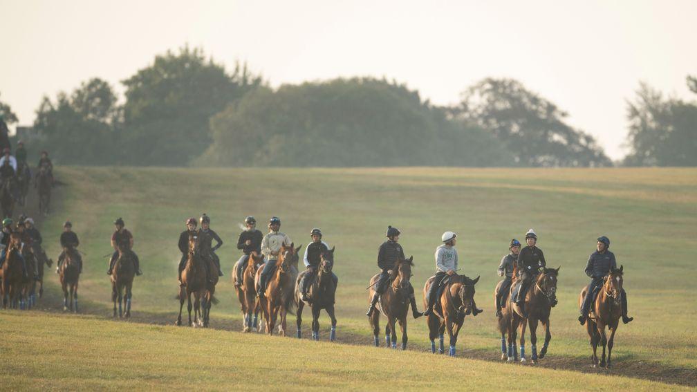 John and Thady Gosden's first lot walks back to Clarehaven Stables