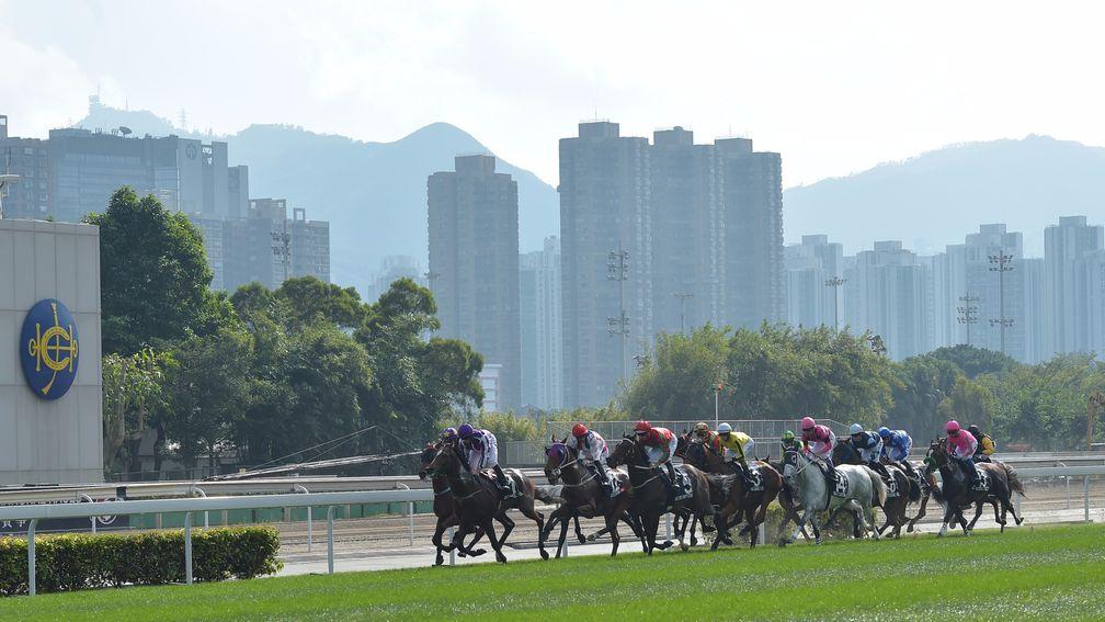 The action takes place at Sha Tin on Saturday